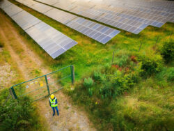 Beyond Deer Fencing: Why Rural Solar Farms Need Modern Security Solutions